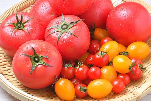 トマトの種類や品種、味の違いを知っておこう