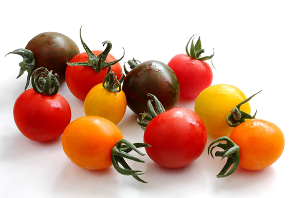 トマトの色と味は関係があるのか？おいしい色はある？